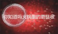 你知道吗火锅里的蘑菇很难煮烂主要是因为？蚂蚁庄园5.26日答案
