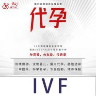 Moba：我只想当个主播